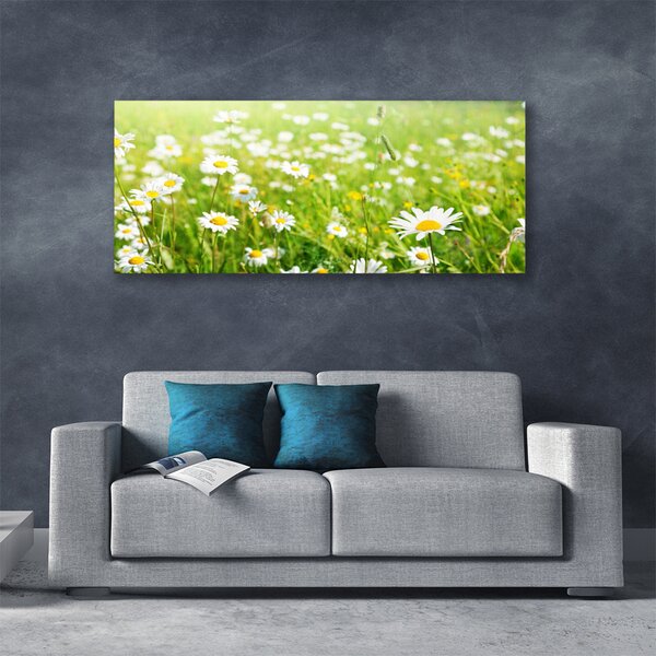 Tablou pe panza canvas Meadow Natura Alb Galben Margarete Verde