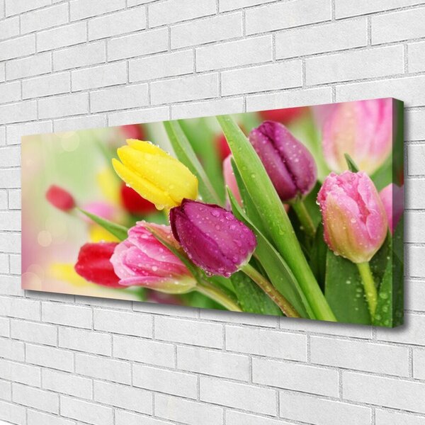 Tablou pe panza canvas Lalele Floral Verde Roșu