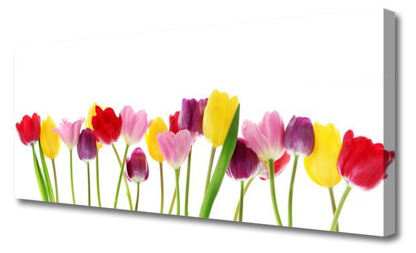 Tablou pe panza canvas Lalele Floral Multi