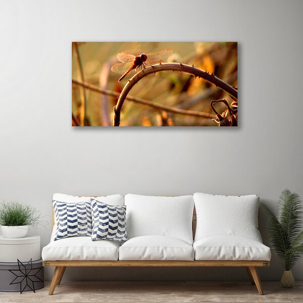Tablou pe panza canvas Dragon-Fly Natura verde