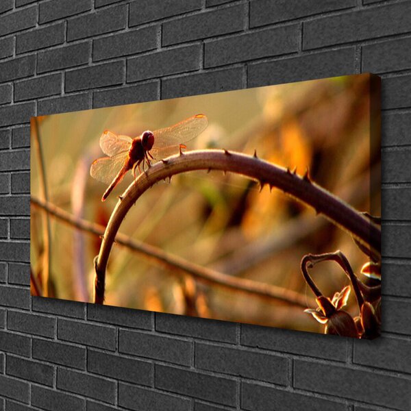 Tablou pe panza canvas Dragon-Fly Natura verde