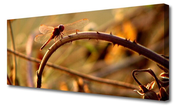 Tablou pe panza canvas Dragon-Fly Natura verde