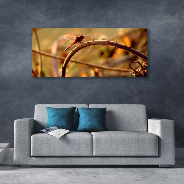 Tablou pe panza canvas Dragon-Fly Natura verde