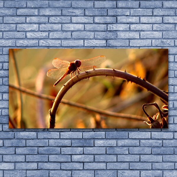 Tablou pe panza canvas Dragon-Fly Natura verde