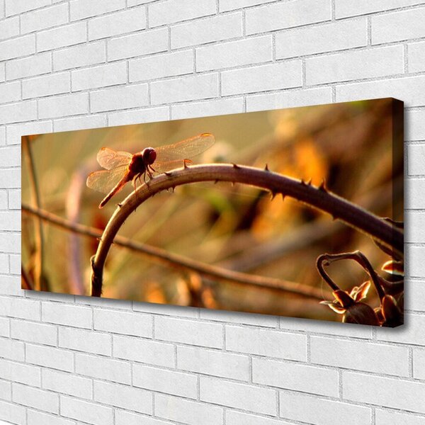 Tablou pe panza canvas Dragon-Fly Natura verde