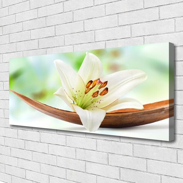 Tablou pe panza canvas Florale flori albe