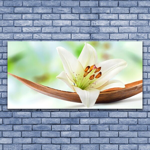 Tablou pe panza canvas Florale flori albe