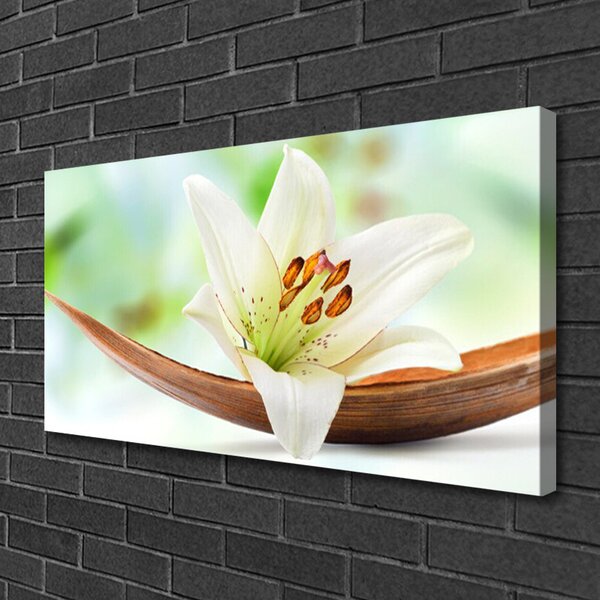 Tablou pe panza canvas Florale flori albe
