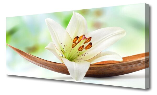 Tablou pe panza canvas Florale flori albe