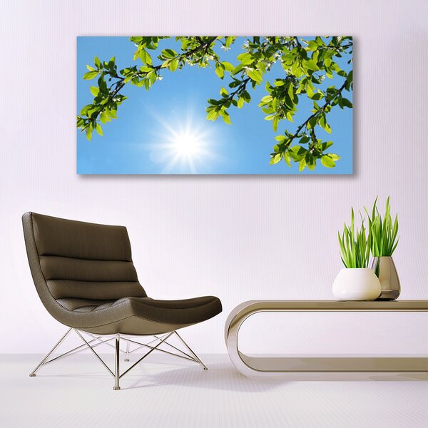 Tablouri acrilice Sun Natura alb