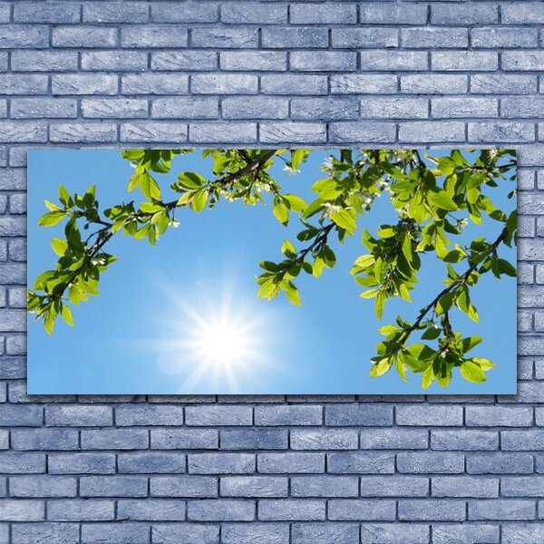 Tablouri acrilice Sun Natura alb