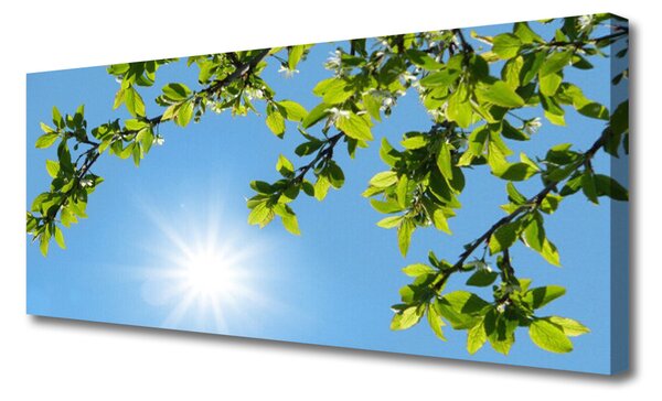Tablou pe panza canvas Sun Natura alb
