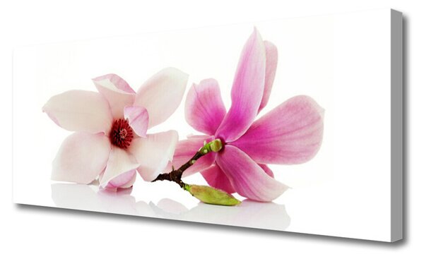 Tablou pe panza canvas Flori Floral Roz Alb