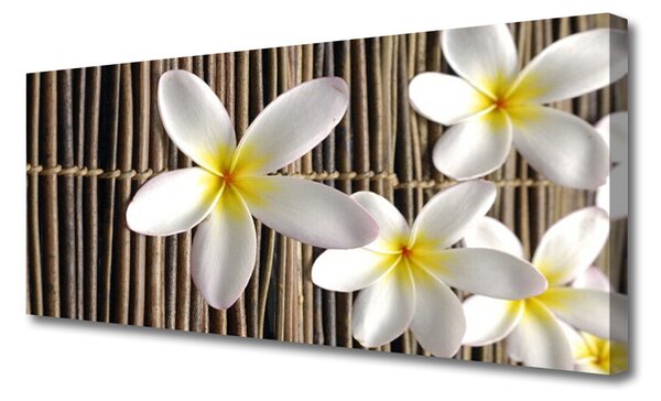 Tablou pe panza canvas Flori Floral alb