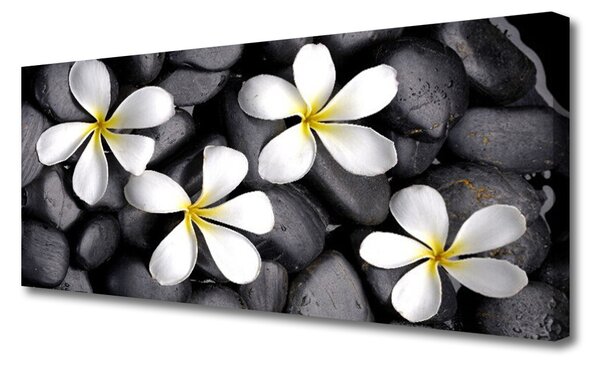 Tablou pe panza canvas Flori Floral alb