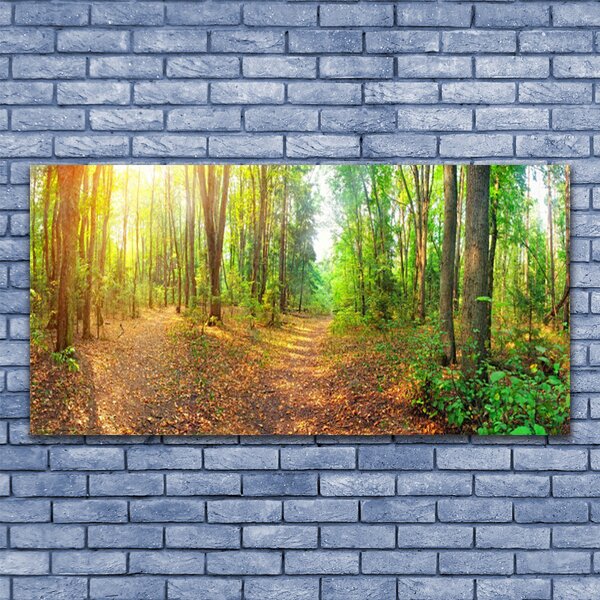 Tablouri acrilice Natural Pădurea Verde Maro