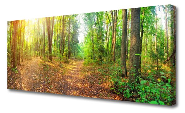 Tablou pe panza canvas Natural Pădurea Verde Maro