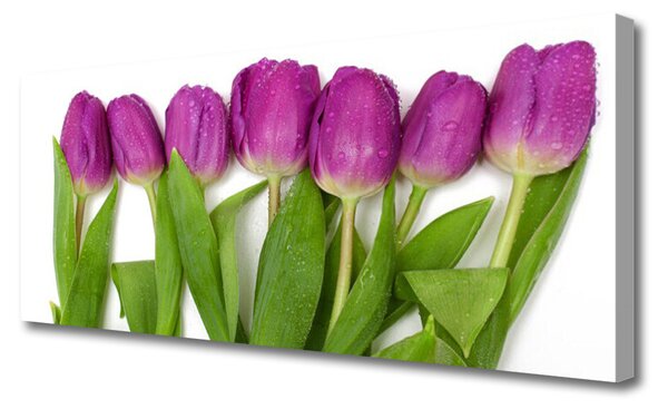 Tablou pe panza canvas Lalele Floral Roșu Verde