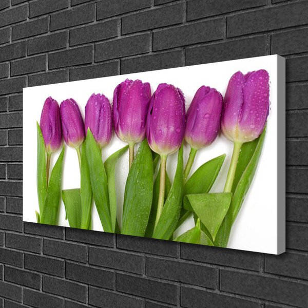 Tablou pe panza canvas Lalele Floral Roșu Verde