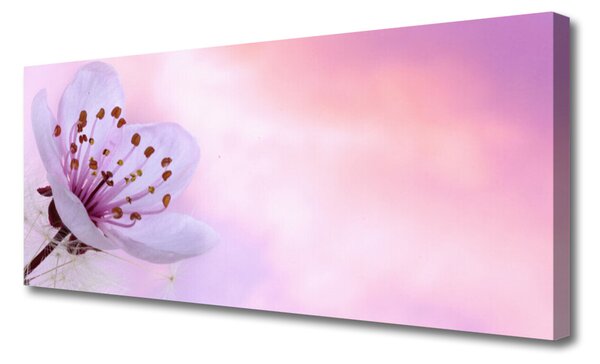 Tablou pe panza canvas Florale flori roz