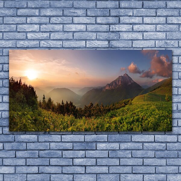 Tablou pe panza canvas Mountain Natural Pădurea Verde Gri