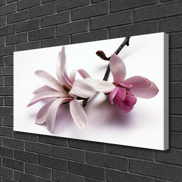 Tablou pe panza canvas Florale flori albe