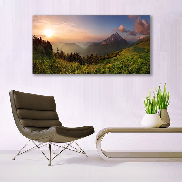 Tablou pe panza canvas Mountain Natural Pădurea Verde Gri