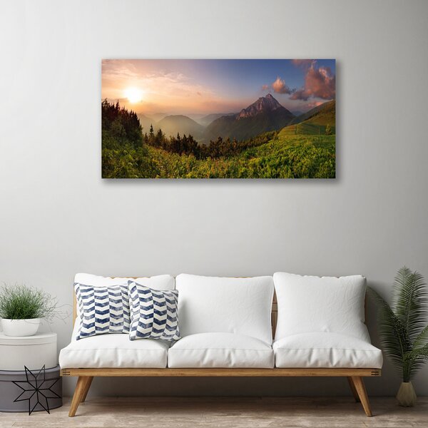 Tablou pe panza canvas Mountain Natural Pădurea Verde Gri