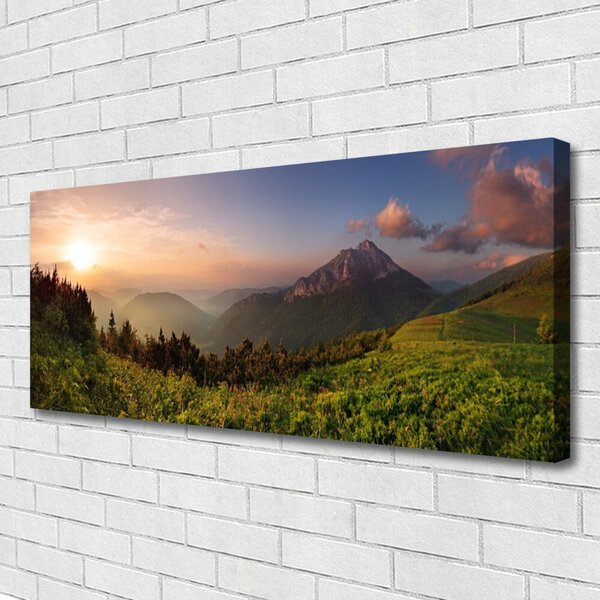 Tablou pe panza canvas Mountain Natural Pădurea Verde Gri