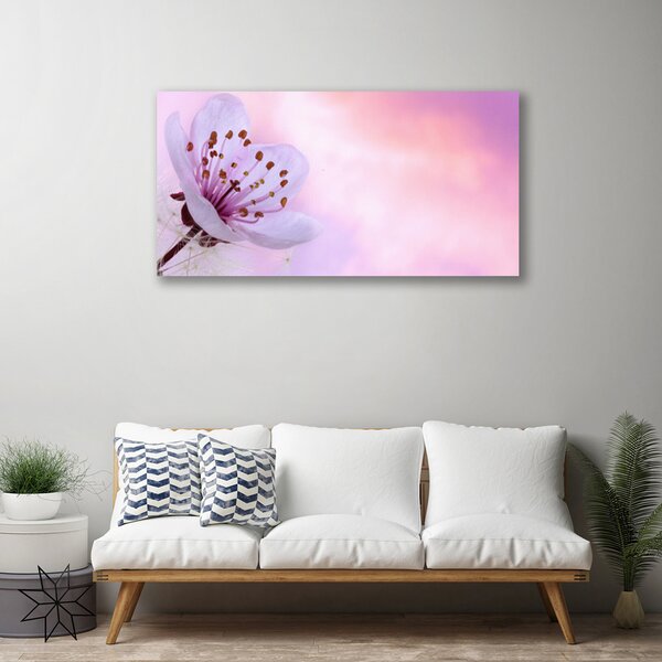 Tablou pe panza canvas Florale flori roz