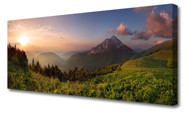 Tablou pe panza canvas Mountain Natural Pădurea Verde Gri