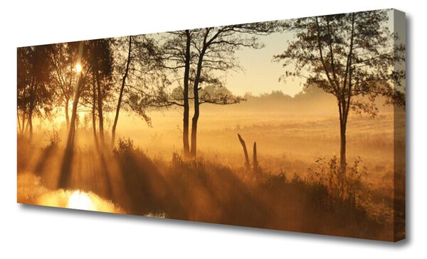 Tablou pe panza canvas Copaci Natura Brun Galben