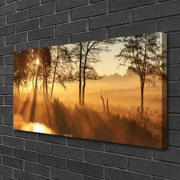 Tablou pe panza canvas Copaci Natura Brun Galben