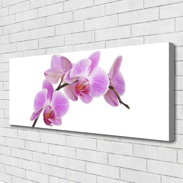 Tablou pe panza canvas Flori roz Floral
