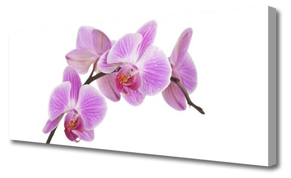 Tablou pe panza canvas Flori roz Floral