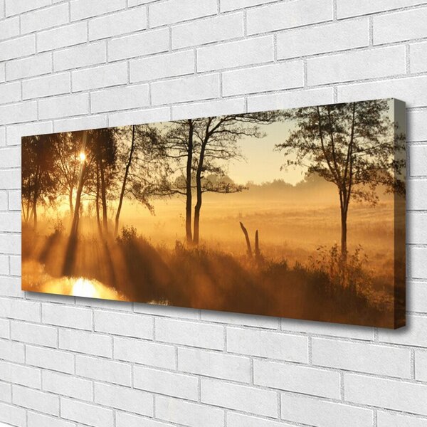 Tablou pe panza canvas Copaci Natura Brun Galben
