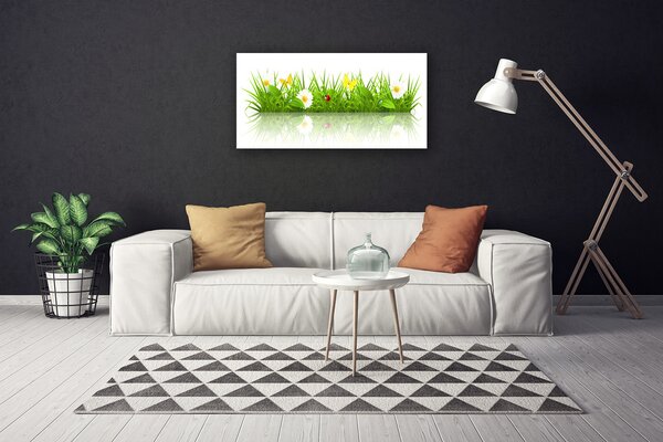 Tablou pe panza canvas Iarbă Natura verde