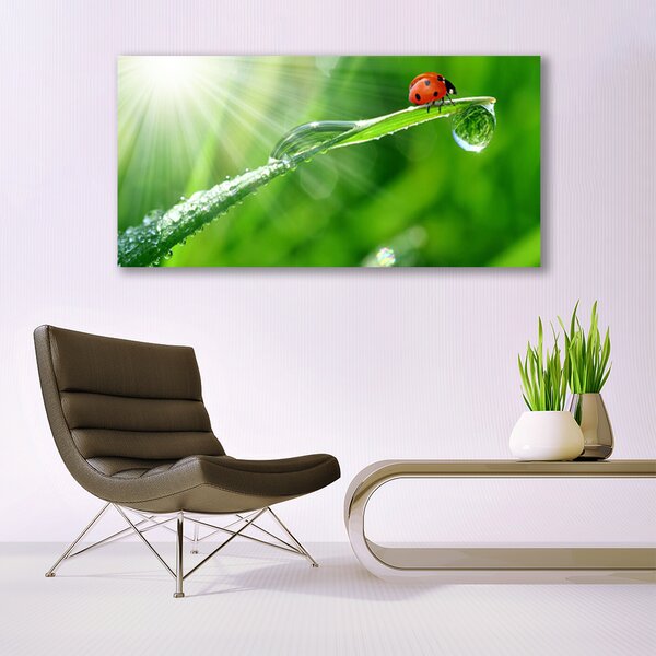 Tablou pe panza canvas Iarbă Soare Beetle Natura Verde Alb Roșu Negru
