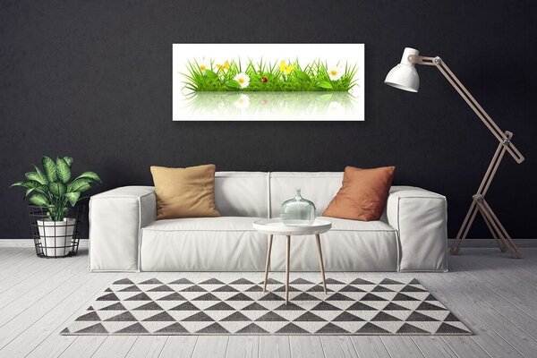 Tablou pe panza canvas Iarbă Natura verde