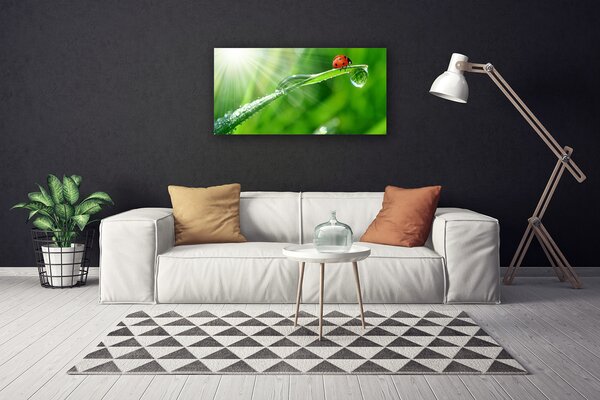 Tablou pe panza canvas Iarbă Soare Beetle Natura Verde Alb Roșu Negru