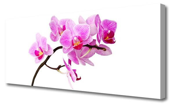 Tablou pe panza canvas Flori Floral Roz Maro