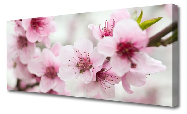 Tablou pe panza canvas Flori roz Floral
