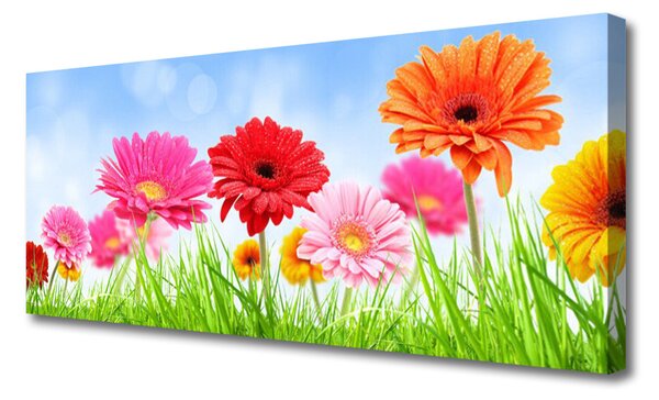 Tablou pe panza canvas Flori Iarbă Floral Multi