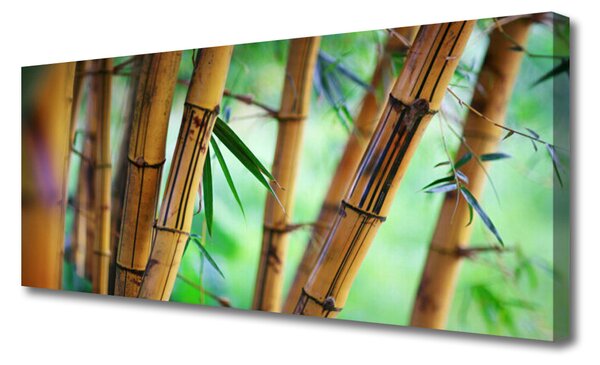 Tablou pe panza canvas Bamboo Natura Galben