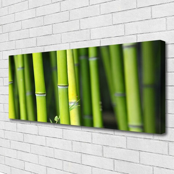 Tablou pe panza canvas Bamboo Natura Verde