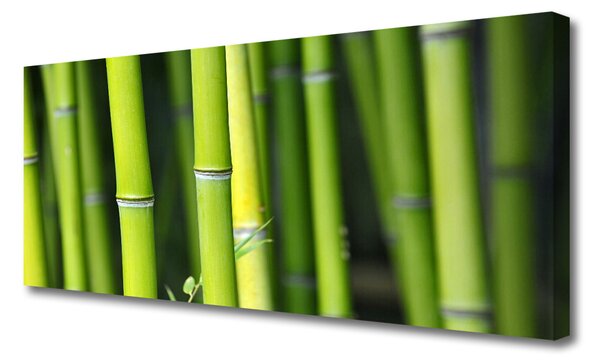 Tablou pe panza canvas Bamboo Natura Verde