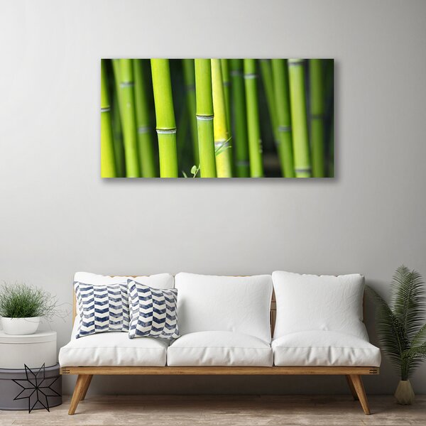 Tablou pe panza canvas Bamboo Natura Verde