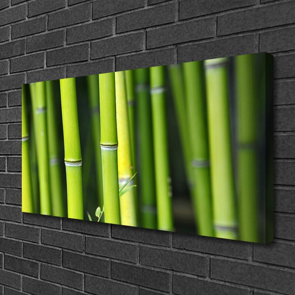 Tablou pe panza canvas Bamboo Natura Verde