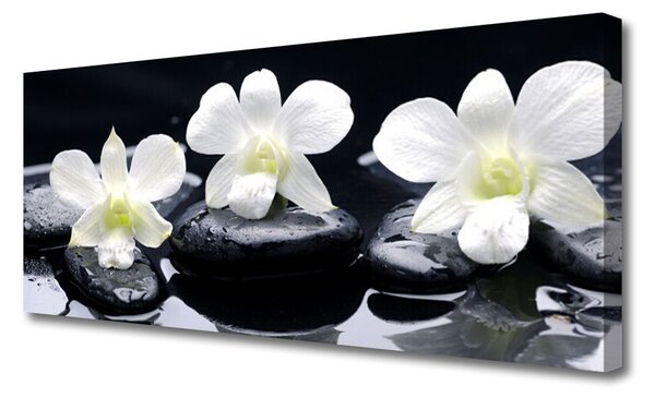 Tablou pe panza canvas Pietre florale flori alb negru