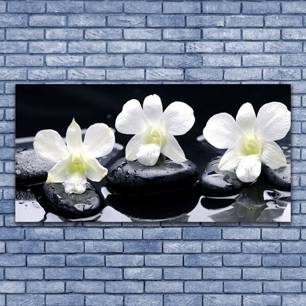 Tablou pe panza canvas Pietre florale flori alb negru